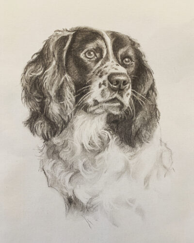 B4237688-D1F0-4E75-A4CA-C3D26232F838