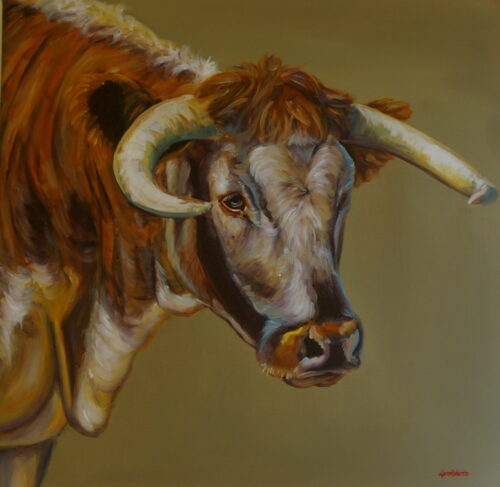 Rousham Bull_60x60cm_boxcanvas